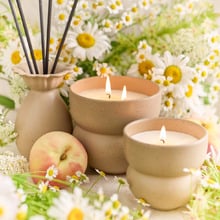 2 Piece Wildflower Alchemy Candle & Reed Diffuser Set